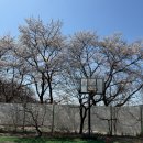 자연과사람들민박 | 공주펜션 자유민박에서 즐기는 힐링 여행, 조용한 자연 속 독채 풀빌라 후기