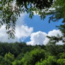 청산 캠프 이미지