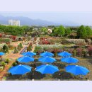 곡성-054 이미지