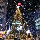 마곡위시빌리지 이미지