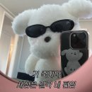 파스타입니다중구 | [대구/중구] 생면파스타 “No Secondo” 후기