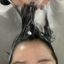 하비 | 봉명동미용실ㅣ두피클리닉 후기ㅣ보하비헤어