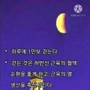 수림결혼정보 이미지