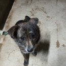 쌍책면사무소 이미지