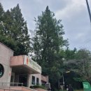 숲속작은도서관 | [전주] 진짜 짧은 전주 여행... 건지산 숲속 작은도서관, 꽁꼬르드