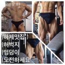 더 레오 핏 이미지