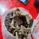 아파트 알뜰시장 이미지