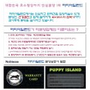 퍼피아일랜드 이미지