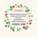 셀렉더테이블 하남점 | 하남 섬스튜디오 촬영 셀렉 후기(추가금 방어 성공 꿀팁)