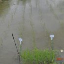 황금밥상 이미지