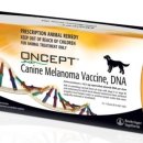 한국베링거인겔하임동물약품(주) 이미지