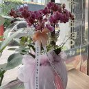 지에스(GS)25 가야가평점 이미지