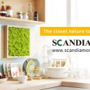 근화초등학교 이미지