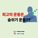 아세로짐용죽점 - 5674 | 아세로짐용죽점