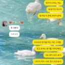 부림당구장 | [포토덤프] 4주차 일상