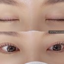 브로우민
