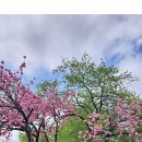 면천군자정 이미지