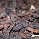 진심한방병원 이미지