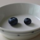 솔로몬농장 이미지