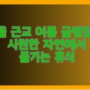 솔베르크 | 서울 근교 여름 글램핑장 시원한 자연에서 즐기는 휴식