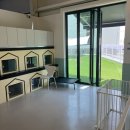 멍문(moon) 이미지