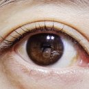 경기도 수원시 팔달구 효원로193번길 11 (인계동) 이미지