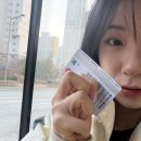 꺼내입꼬 네이버블로그