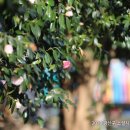 무양공원 이미지