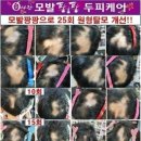 큐사랑화정