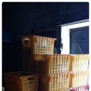 창민농장 이미지