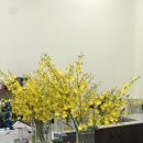 증안초교 | 청주 야외 웨딩스냅 부케 추천 화사한 온시디움부케 복대동꽃집 리틀바이리틀