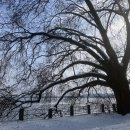 데굴데굴 이미지