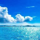 팡팡과일 이미지