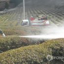 법인다도락