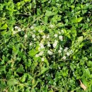 가자야식 이미지