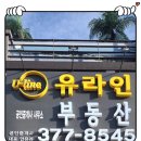 진위카센타 이미지