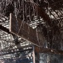 예술마을커피가게 | 헤이리 예술마을 츄로바(churrobar)