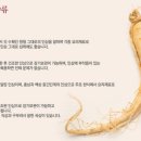 홍삼세상 - 창원시 성산구 용지로 225 | 홍삼세상