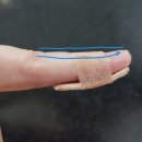 코엔트라 이미지