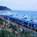 개미들농촌체험마을 이미지