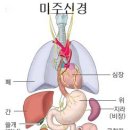 광명건강메일 - 웰빙무연뜸 건강 이미지