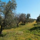 남부세탁소 이미지