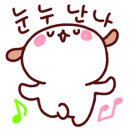 착한애견분양강아지 수원광교본점 이미지