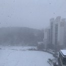 할라쏠트