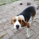 봉다리농장 이미지