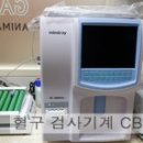 가로수동물병원 - 서구 월드컵4강로 88 | 가로수동물병원