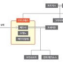 네스