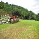 솔바람야영장 이미지