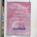 [서울] 잠실롯데월드몰 가볼만한 곳 | 슬릭스토어 | 솜사탕도 먹고 굿즈도 구매가능