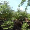 외방로135번길 이미지